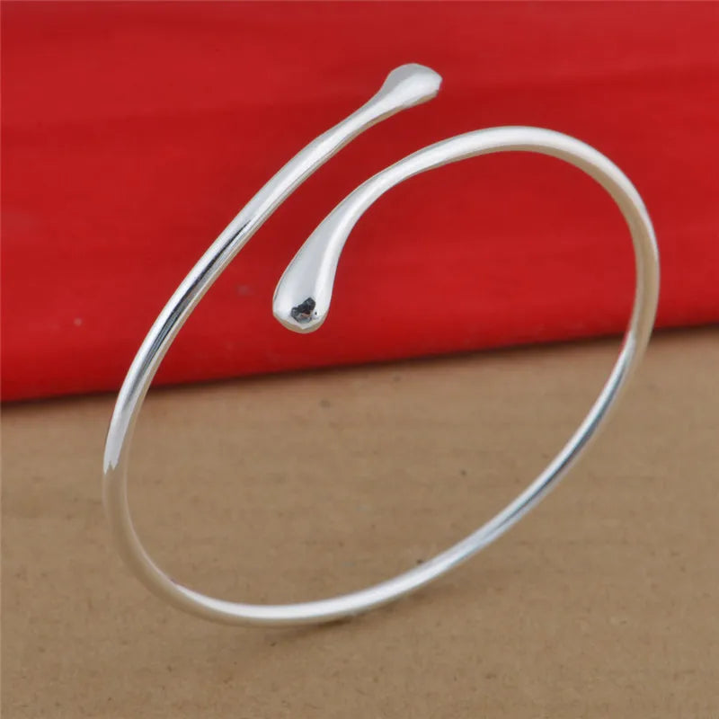 Needle Earrings Ring