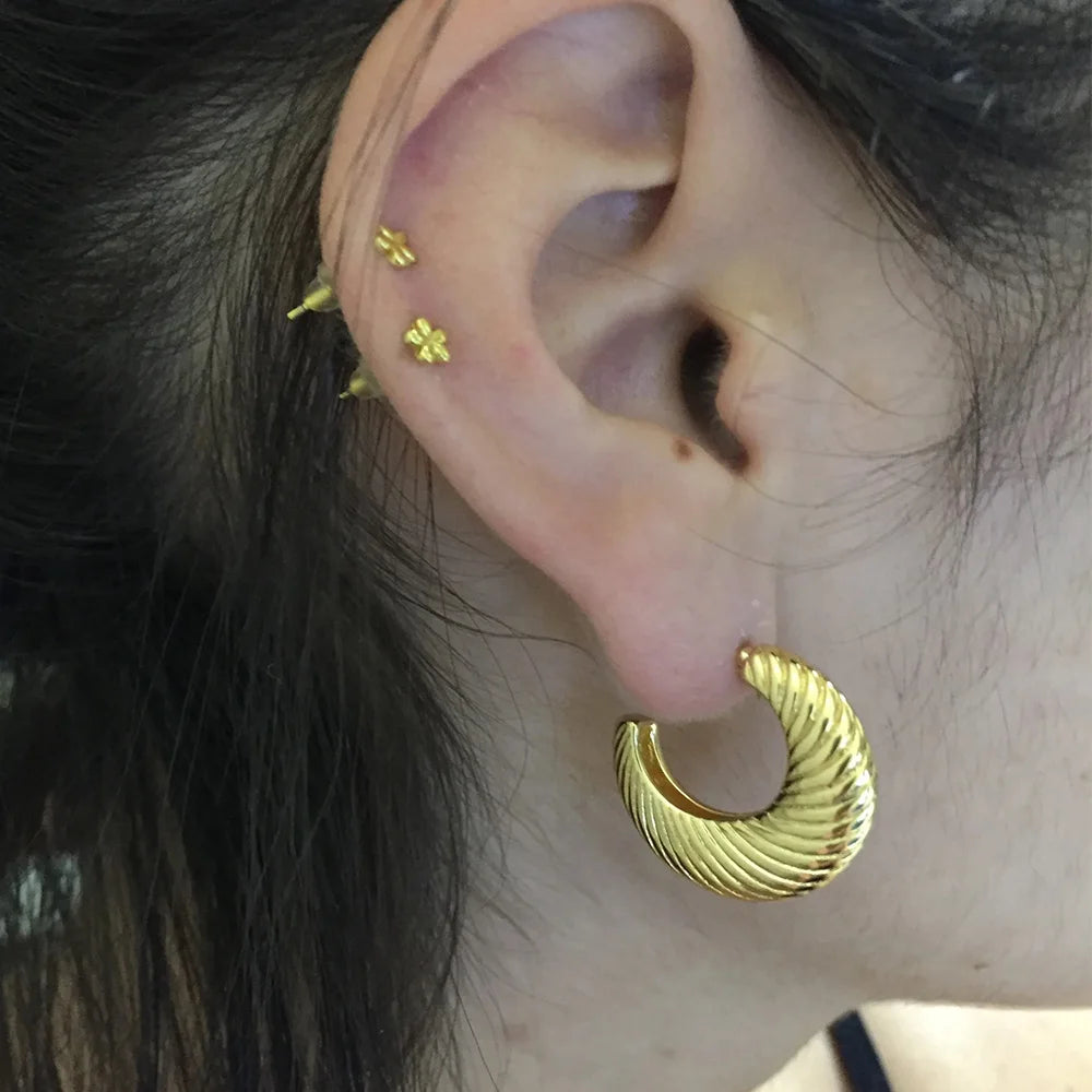 Fan-shaped Stud Earrings